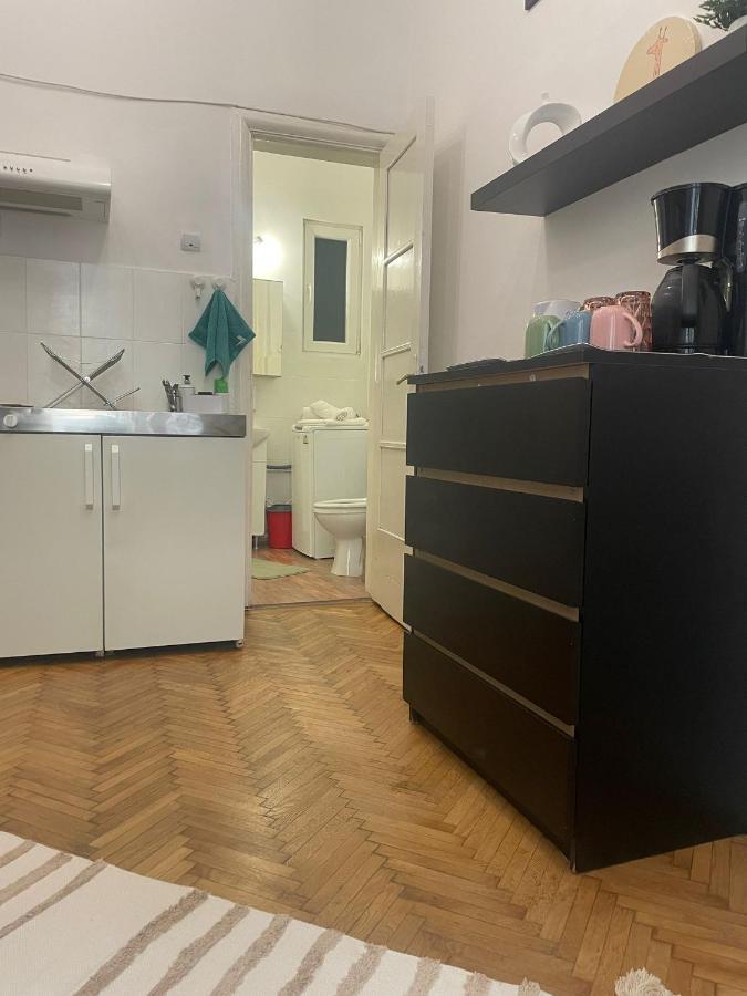 Апартаменты Cozy Studio Near Cismigiu Park Бухарест Экстерьер фото