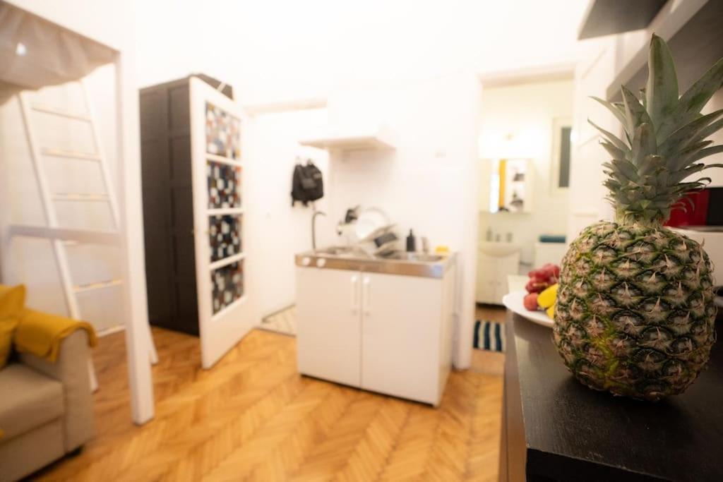 Апартаменты Cozy Studio Near Cismigiu Park Бухарест Экстерьер фото
